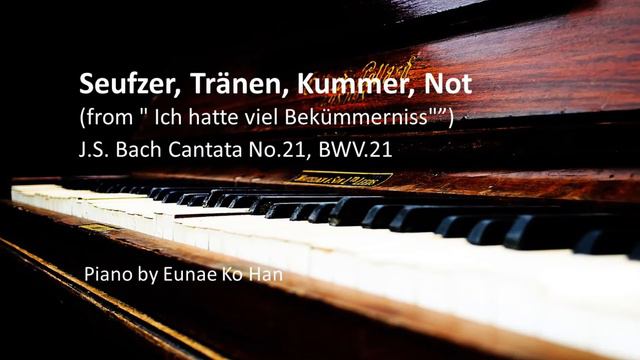 Seufzer, Tränen, Kummer, Not (from Cantata No. 21)– J.S. Bach Piano Accompaniment смотреть онлайн
