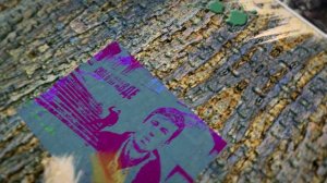 Вячеслав Антонов «Жизнь»