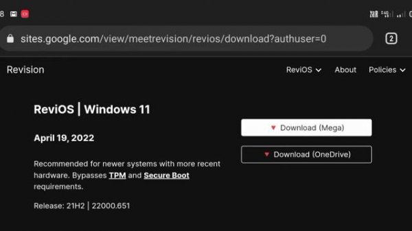 Revi OS Windows 10/11 Install For PC Low end operating system Dual Boot