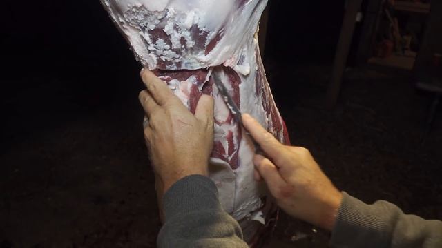 How to Clean and Quarter a Whitetail deer смотреть онлайн