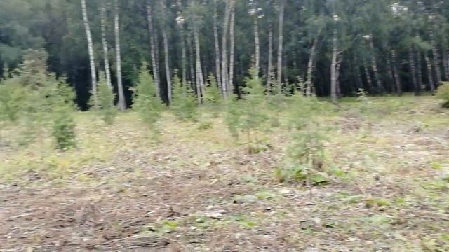 Скорость 3, kugoo m4 pro. смотреть онлайн