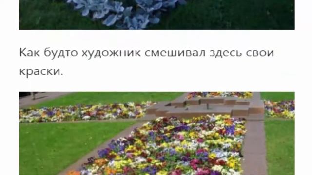 Клумба прямоугольной формы. Лучшие фото варианты. 15 идей. смотреть онлайн