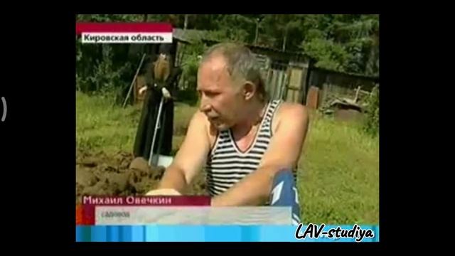 ВЯТСКИЙ ПАХАРЬ смотреть онлайн