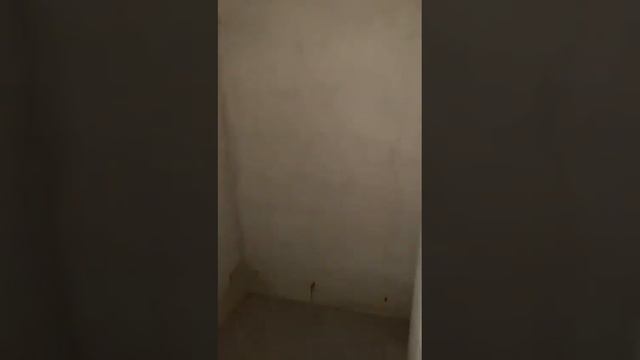 жк Ромашки смотреть онлайн