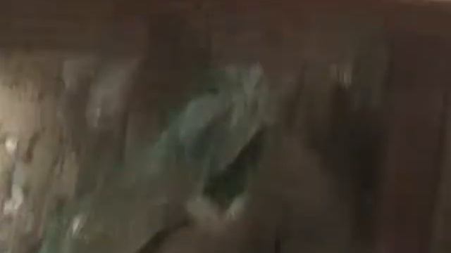 анолис смотреть онлайн