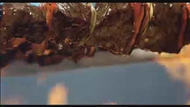 3 медведя - Байкал смотреть онлайн