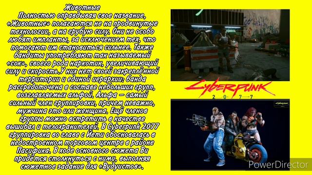 Банды Cyberpunk2077. Банды Найт-Сити в Cyberpunk 2077. Gangs Cyberpunk 2077 смотреть онлайн