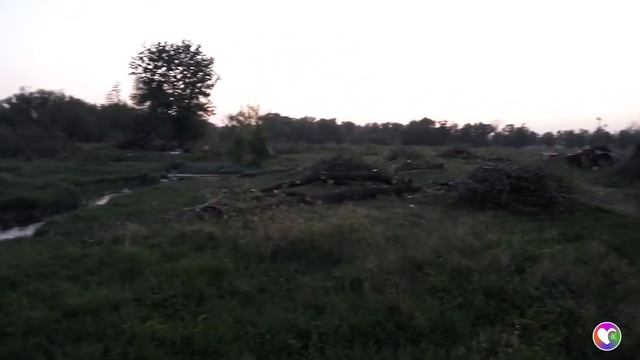 Вырубка деревьев в парке Ленина, Краматорск смотреть онлайн