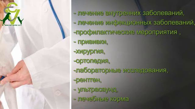 Сеть ветеринарных клиник в центре Израиля 052-2506596 смотреть онлайн