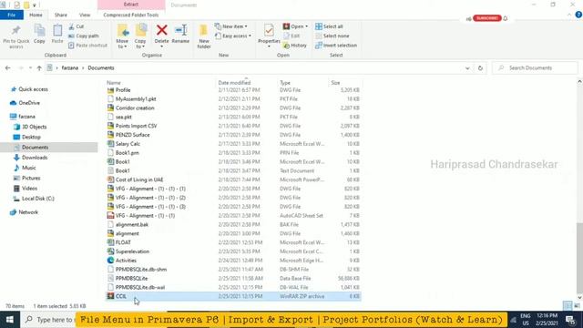 File Menu in Primavera P6 | Import & Export Options | Project Portfolio Management (Watch & Learn) смотреть онлайн