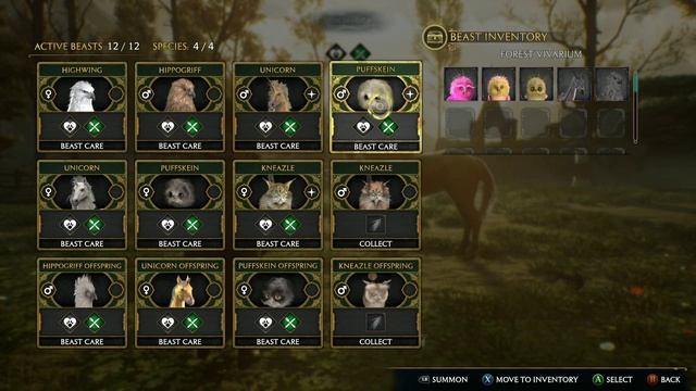 Hogwarts Legacy, Room of Requirement Tour & Some Tips смотреть онлайн