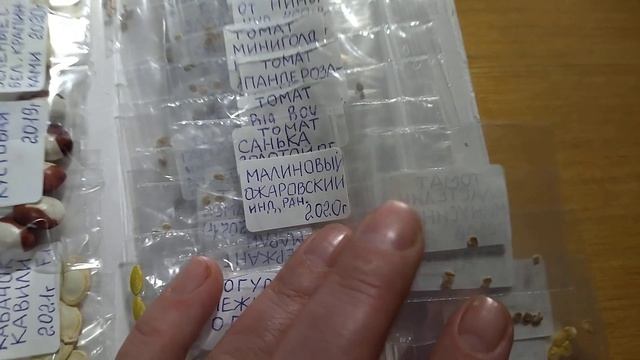 Новогоднее поздравление из Подольска. Благодарю Вас за семена, Нина Павловна! смотреть онлайн