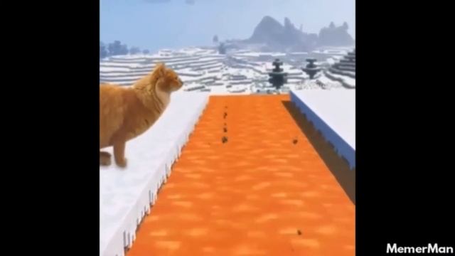Cat MineCraft Lava Meme? смотреть онлайн