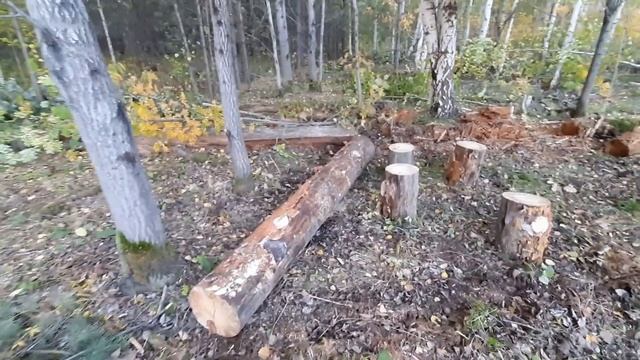 Участок с лесом. Крыша над головой) смотреть онлайн