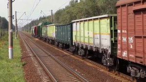 Изучаем поезда и железнодорожный транспорт  Железная дорога для детей