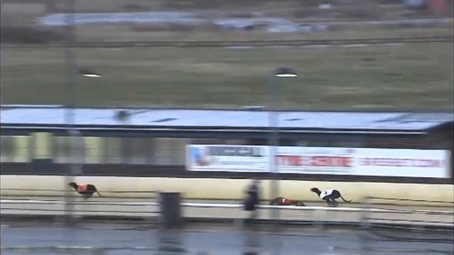 Greyhound 2021 - Trial 10 30.03.2022 смотреть онлайн