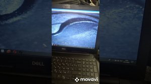 Лада Веста 1.6 троит в движении.