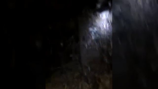 Охота на хорька часть вторая смотреть онлайн