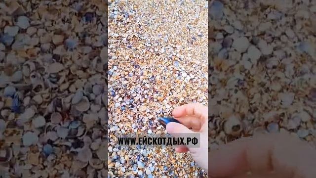 Отдых в Ейске! Отличное жилье у самого моря - это к нам. Азовское море ждёт... смотреть онлайн