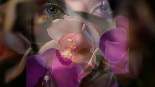 орхидеи и женщины смотреть онлайн