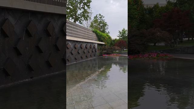 цветник в парке Краснодар / парк Галицкого смотреть онлайн