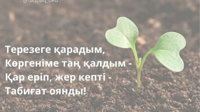 Авторские адаптивные стихотворения на казахском языке для детей. Көктем туралы тақпақ. смотреть онлайн