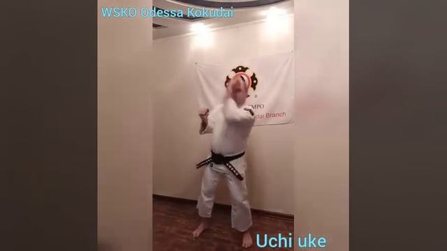 Сёриндзи Кэмпо - кихон (мэ учи, фурико дзуки, маэ гэри, учи укэ, ува укэ, сита укэ, хараи укэ) смотреть онлайн