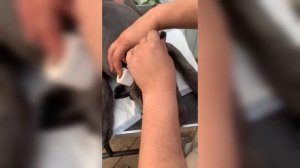 Как поставить уши собаке кане корсо