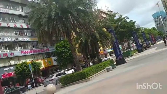 Непривычные ягоды на каждом шагу. Как собирают лонганы. Берём на вооружение смотреть онлайн