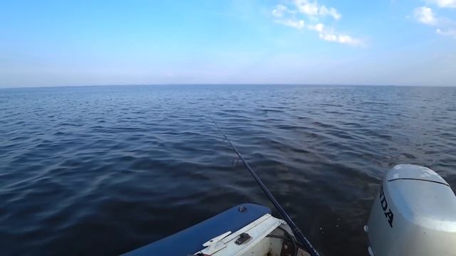 ЗРЕЛИЩНАЯ Летняя рыбалка ? БОЛЬШОЙ СУДАК на ДЖИГ! Ловля судака, Рыбалка на судака, Спиннинг , 2023. смотреть онлайн