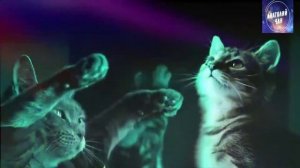 Это господь господь МЕМ музыкальная версия ПОТАНЦУЕМ ?