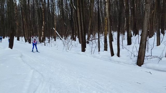 ВладимирSKI PROKU marathon. Добежал на трех лыжах. смотреть онлайн