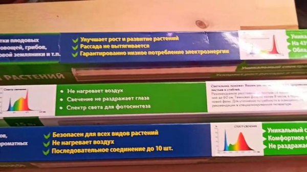 Искусственное освещение суккулентов лампами Uniel