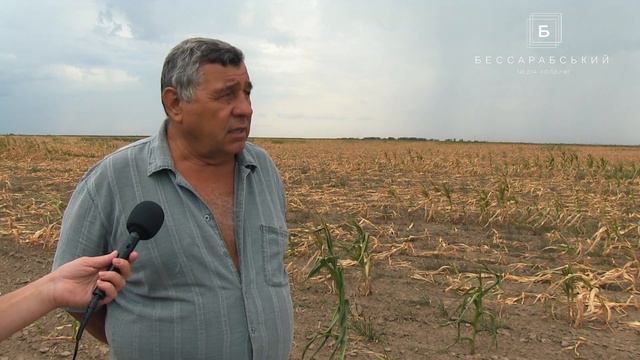 Интервью с фермером смотреть онлайн