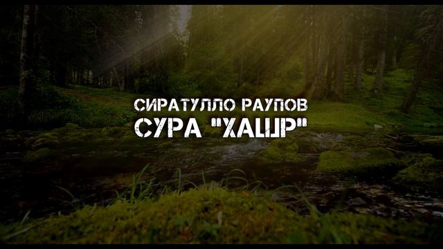 Сиратулло Раупов | Сура «Хашр» смотреть онлайн