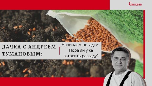 Дачка с Андреем Тумановым: 3 секрета правильной рассады смотреть онлайн