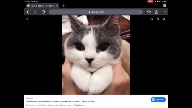 Как скачать фото из Google хрома. Легко смотреть онлайн