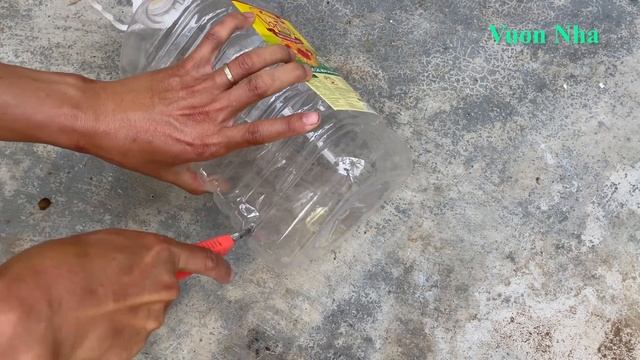 The Idea Of Creating A Flower Pot Adenium Bonsai With Beautiful Roots