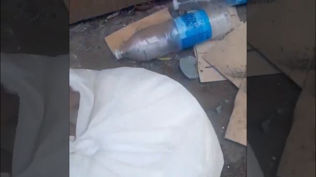 🔴 Свалку с гуманитарной мощью нашли под Харьковом смотреть онлайн