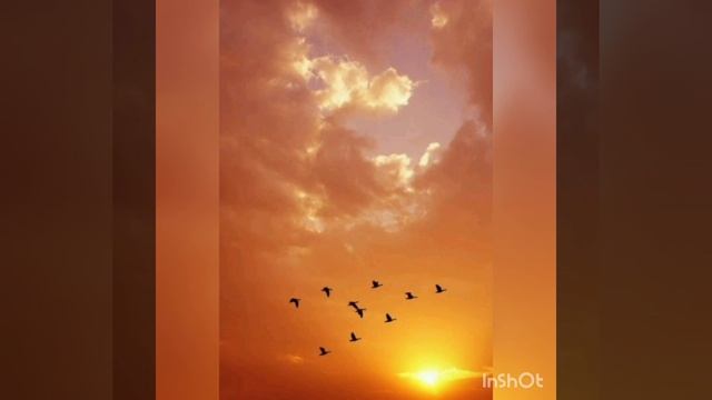 Приходит неслышно осень... Стихи Ирины Пташки. смотреть онлайн