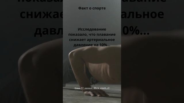 22 Факт о спорте #shorts #sport смотреть онлайн