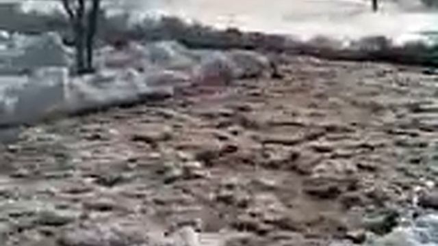 Трактор Зверь