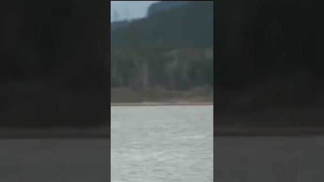 дети играли и случайно оказались на льдине на середине озера смотреть онлайн