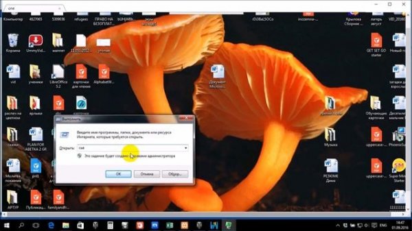 RMS удалённый доступ