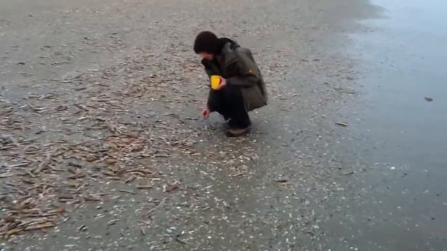 Ксю на море 2.0 смотреть онлайн