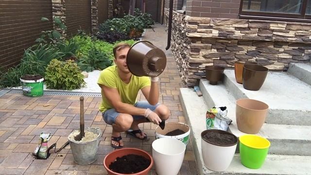 Грунт для растений универсальный смотреть онлайн