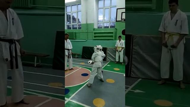 Сын занимается Киокушинкай каратэ смотреть онлайн