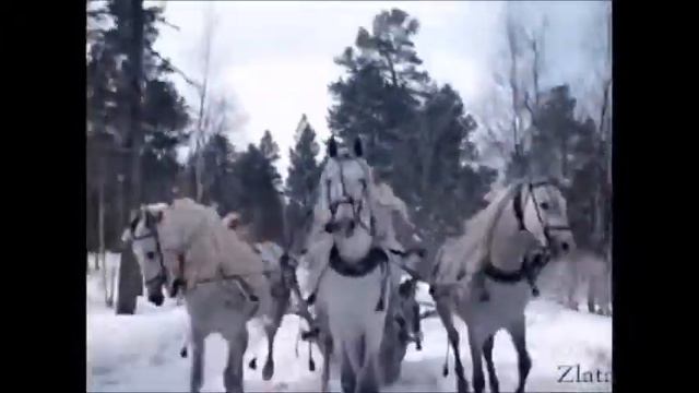 Фильм 3 белых коня смотреть онлайн
