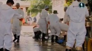 Тайланд. Шок после цунами (26 декабря 2004)