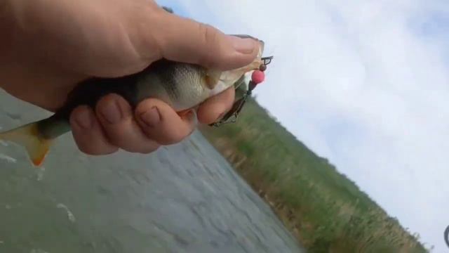 прогулка на Егорлык со спиннингом смотреть онлайн